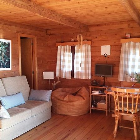 빌라노바 데 세르베이라 Cabana De Santo Antonio 게스트하우스 외부 사진