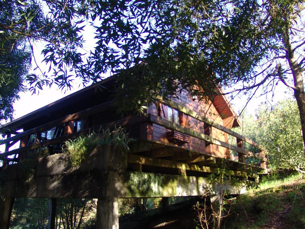 빌라노바 데 세르베이라 Cabana De Santo Antonio 게스트하우스 외부 사진