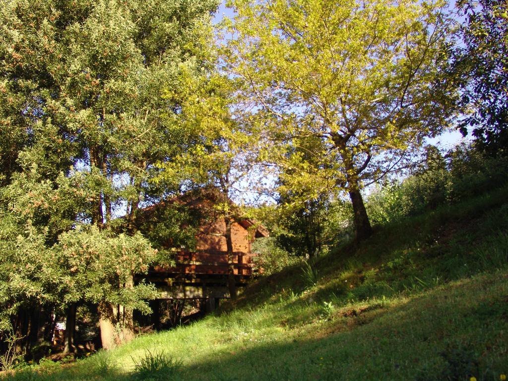 빌라노바 데 세르베이라 Cabana De Santo Antonio 게스트하우스 외부 사진